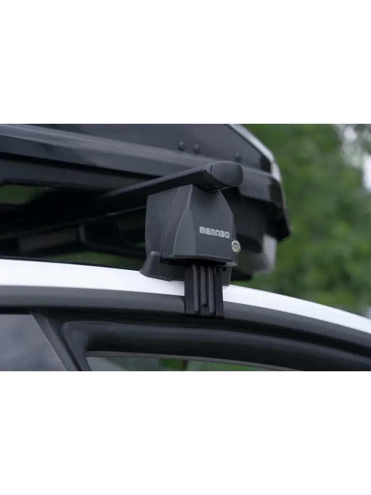Dakdragers aluminium - Tesla Model Y (2020-2025)