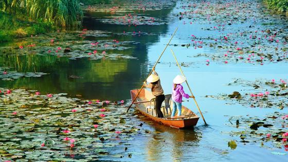 vietnam_algemeen_bootje_local_sfeerbeeld_waterlelie_b