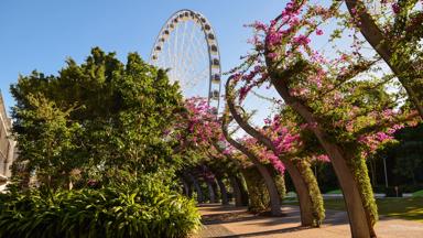 australie_queensland_brisbane_south-bank_tuin_reuzenrad_shutterstock_669115453