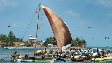 sri-lanka_negombo_bootjes_zeil_vissers_locals_zee_palmbomen_vogels