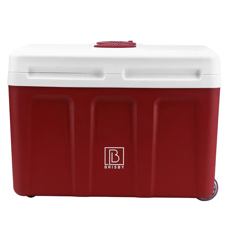 Elektrische Koelbox – 40L – 12V/230V