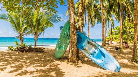 costa-rica_puerto-viejo_punta-uva_kano_strand_palmboom_shutterstock