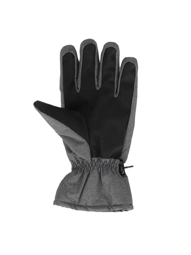 Heren - Ski Handschoenen