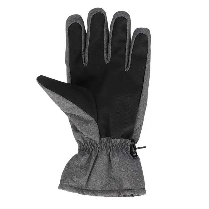 Heren - Ski Handschoenen
