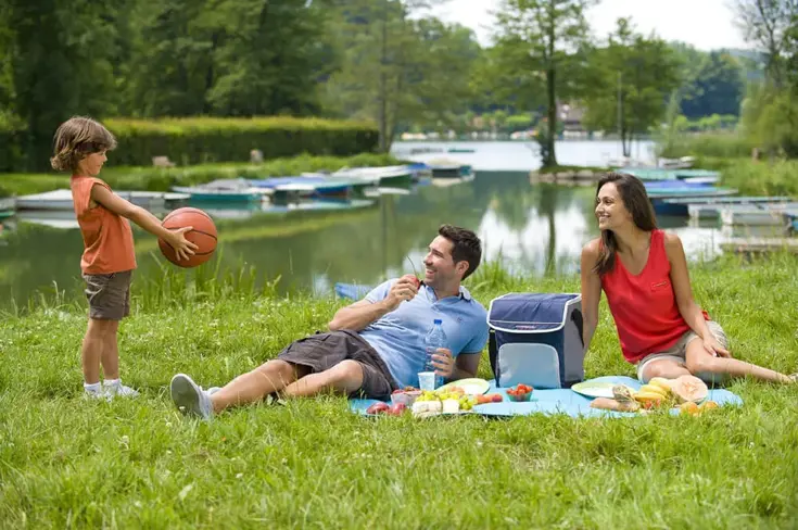 Fold 'n Cool Koeltas -20 Liter- Blauw/grijs