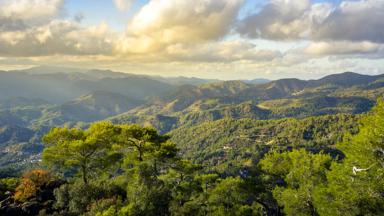 cyprus_troodos_gebergte_uitzicht_bomen_shutterstock