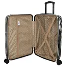 Zebra Trends - Animal Travel - Middelmaat