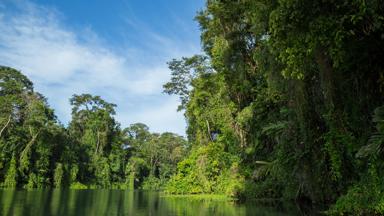 costa-rica_tortuguero_boottocht5_b.jpg