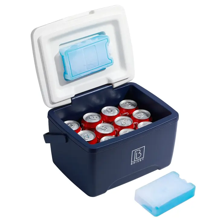 Koelbox - Lunchbox - 8L
