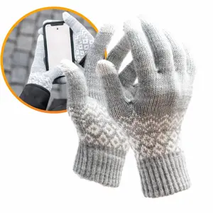 R2B Touchscreen Handschoenen Winter - Grijs