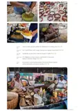 Reisgids Suriname 3