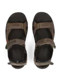 Targhee III Grijs Wandelschoenen Heren