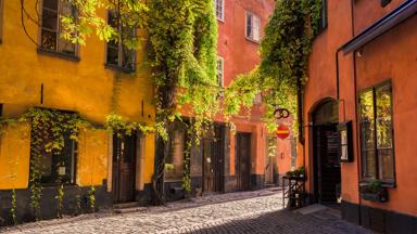 zweden_stockholm_gamla-stan_straatje_klimop_huizen_shutterstock_365383499