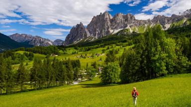 italie_zuid-tirol_cortina_landschap_gras_heuvel_berg_boom_wandelaar_man_getty