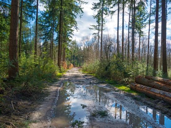 Lage Vuursche