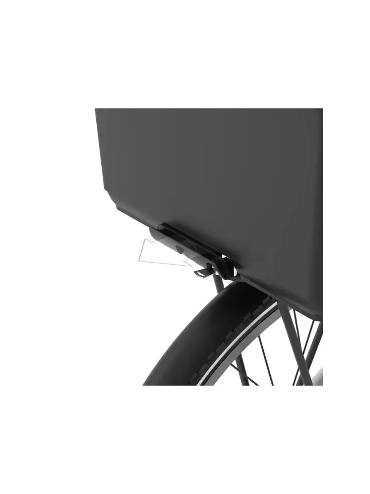 Fietsmand Basky  Bont Boeket