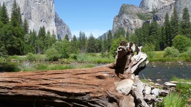 verenigde-staten_californie_yosemite-national-park_vallei_rotsen_boomstronk_rivier_w