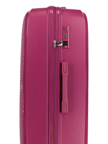 Dinan large - Koffer 91L - Human Nature