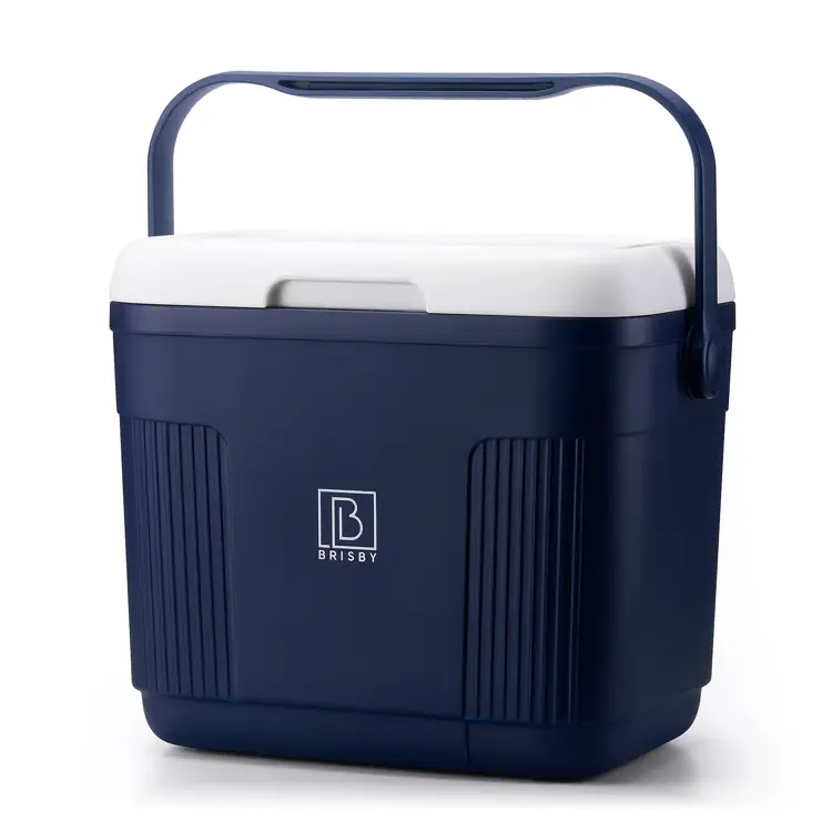 Brisby - Koelbox - 22L
