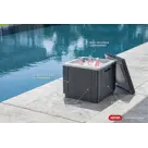 Allibert Ice Cube Koelbox - 42x42x41cm