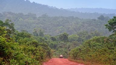 suriname_algemeen_weg_oerwoud_f