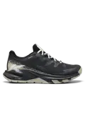 Targhee Apex - Wandelschoenen - Heren
