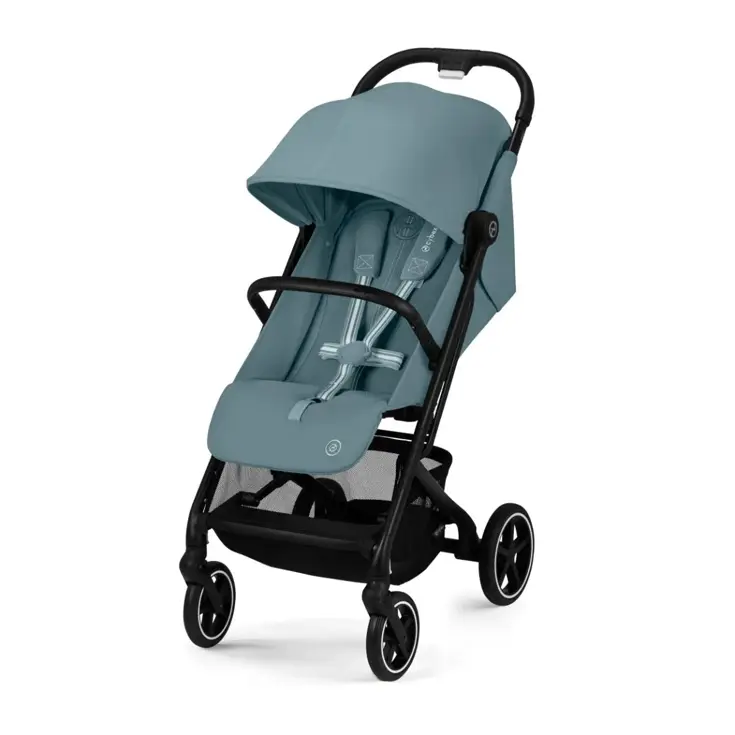 Beezy - Buggy