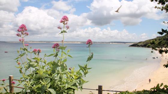 groot_brittannie_cornwall_st_ives_strand_f