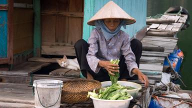 vietnam_noord-vietnam_halong-bay_vissersdorpje_local_kat_drijvend-hutje