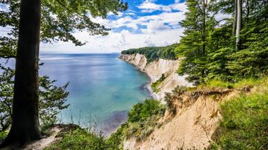 duitsland_noord-duitsland_rugen_ruegen_jasmund_nationaal-park_klif_boom_zee_getty