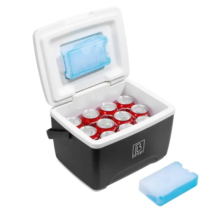 Koelbox - Lunchbox - 8L