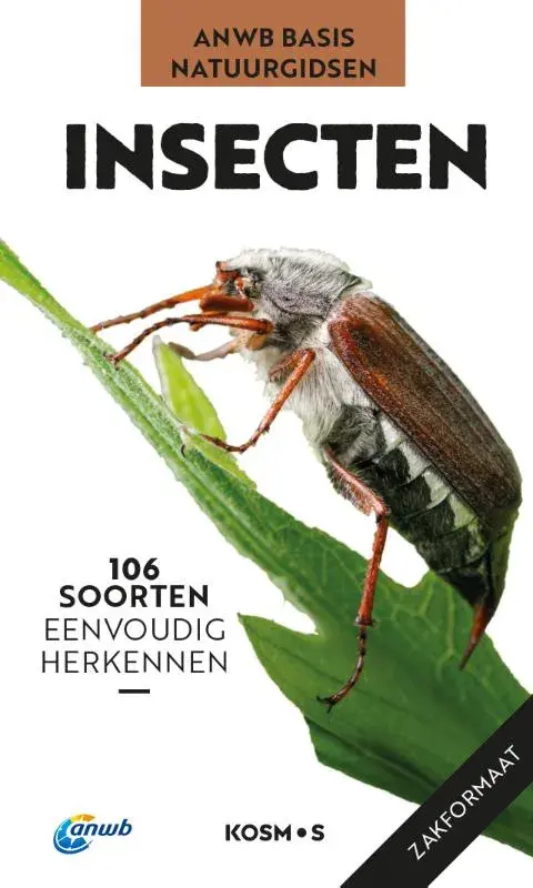 ANWB Basis Natuurgids Insecten