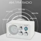 Denver TR63W FM radio