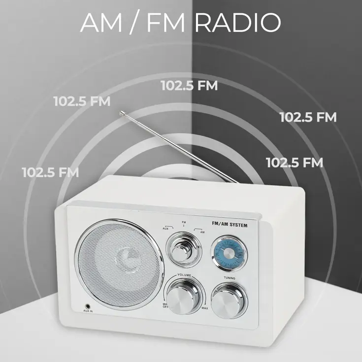 FM radio AUX input Retro design