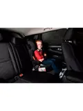 Toyota RAV-4 (5th Gen) 2018 - Zonneschermen achterportieren - Car Shades