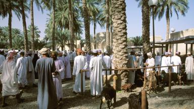 oman_nizwa_veemarkt_markt_a