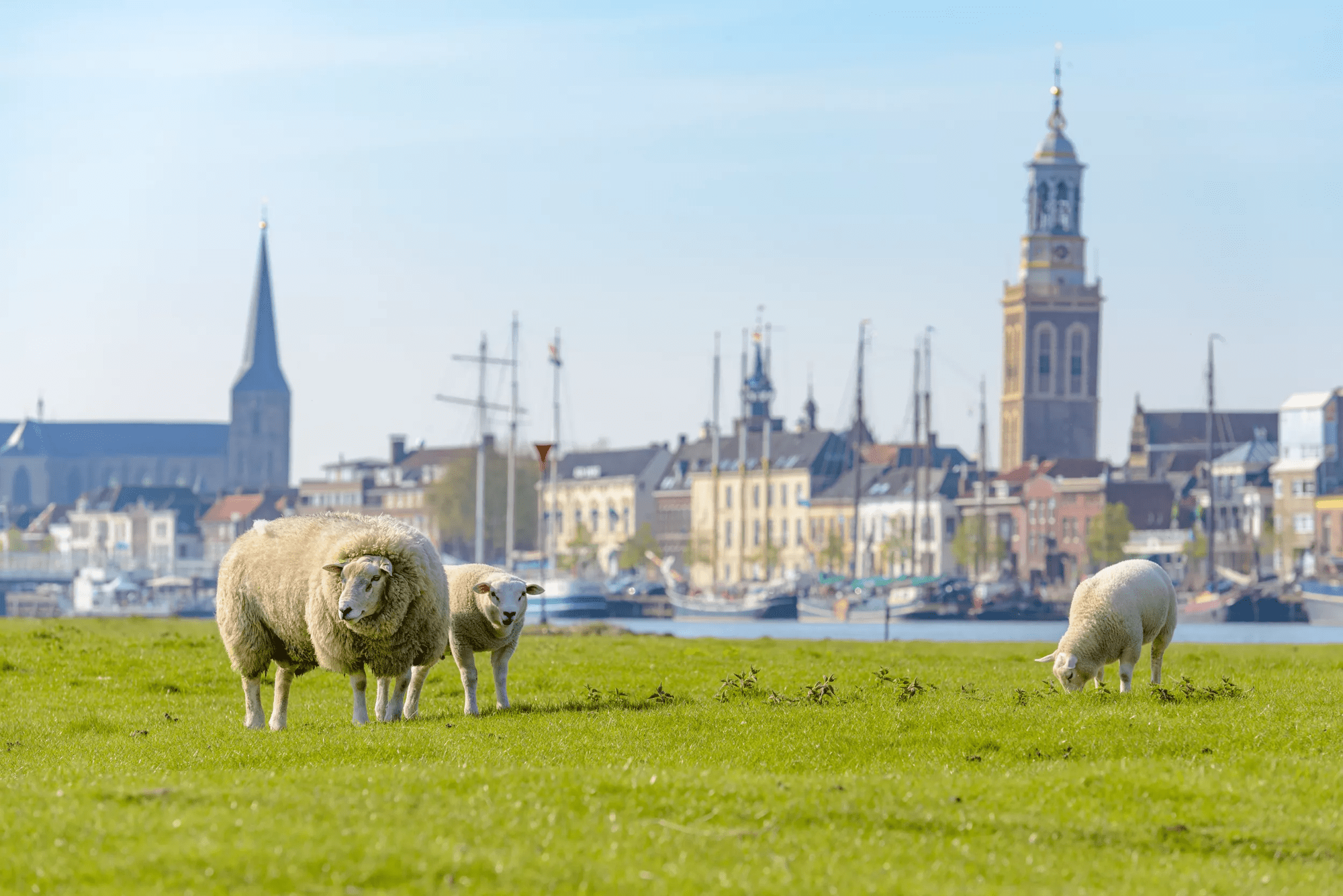 Vakantie 7-daagse fietscruise Hanzesteden - ms De Nassau in Diversen (Nederland, Nederland)