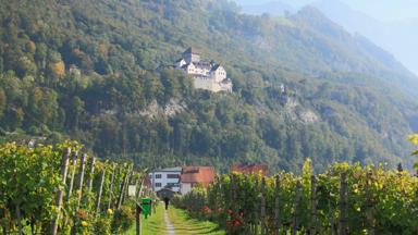 liechtenstein_vaduz_schloss-vaduz_kasteel_wijngaard_bergen_persoon_getty