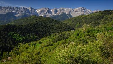 spanje_catalonië_lleida_la-seu_nationaal-park-cadi-moixero_bergen_bomen_sneeuw_pyreneeën_shutterstock