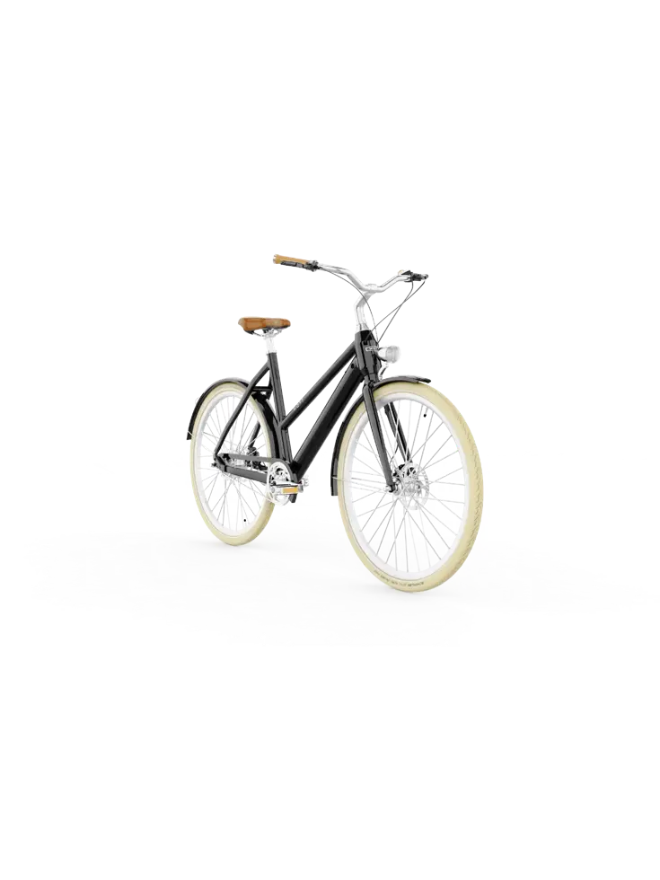 Dublin E-Bike Dames 54CM