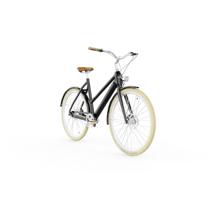 Dublin E-Bike Dames 50CM