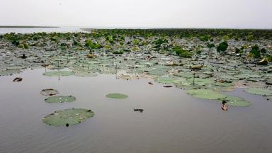 thailand_midden-thailand_beung-boraphet_meer_a.jpg