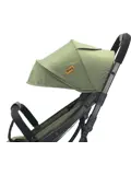 Ding Remi Wandelwagen