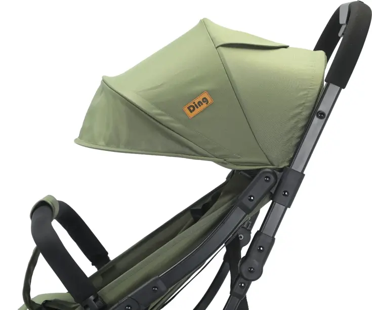 Ding Remi Wandelwagen