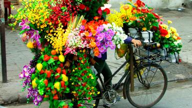 vietnam_hanoi_straatbeeld_straatverkoper_fiets_bloemen_w.jpg