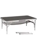 Tafel Met net 100x60 cm