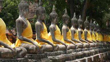 thailand_centraal-thailand_ayutthaya_oude-stad_boeddha-beeld_7_f.jpg