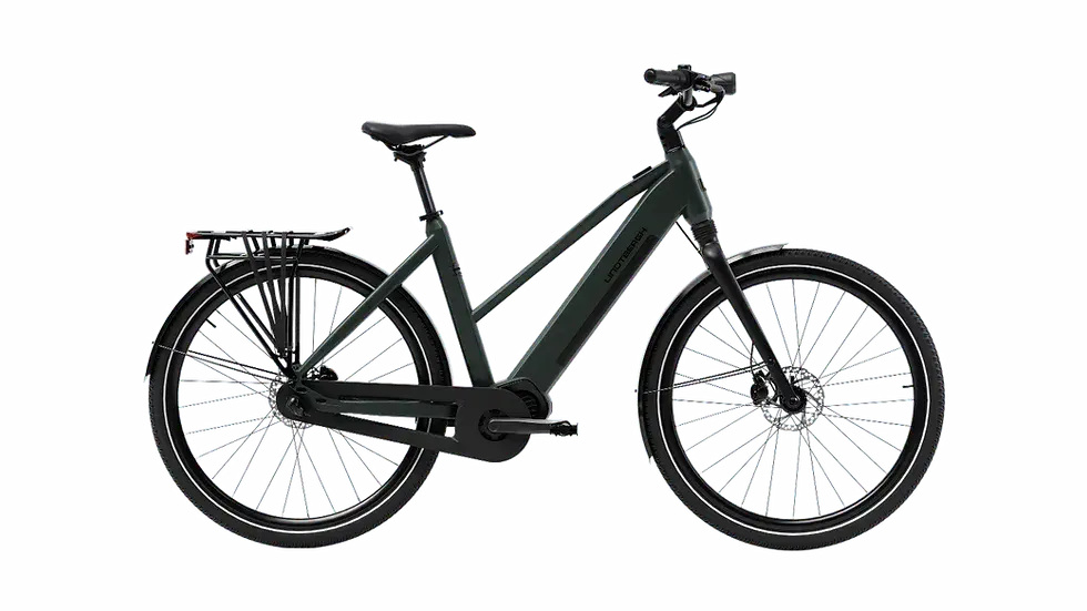 Adventure e-bike