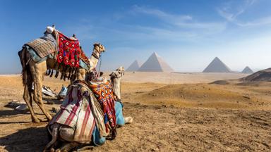 egypte_cairo_uitzicht-piramide_kameel_shutterstock