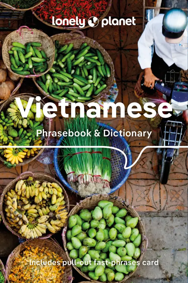 Taalgids Phrasebook Vietnamese 9
